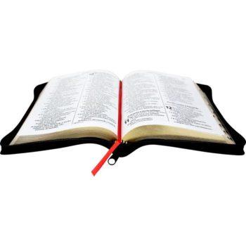 Bíblia AEC letra gigante – verde estampada - Livraria Evangélica