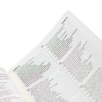 Bíblia Bilíngue Português NAA Inglês ESV - Livraria Evangélica Online